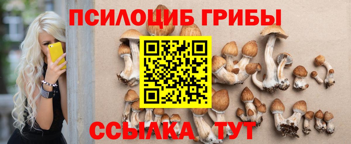 Псилоцибиновые грибы Magic Shrooms  Вход с VPN  Верхний Уфалей 